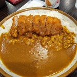 カレーハウスCoCo壱番屋 - 手仕込み豚ヒレ勝つカレー