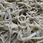 そば哲 - そば哲 遠浅店 「もりそば」