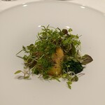 ル・マンジュ・トゥー - はた　魚料理