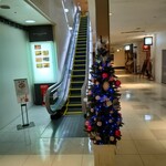 ステーキハウス ケルン アネックス - 地下のエスカレーター横にクリスマスツリー