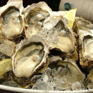 【大ぶりで旨みたっぷり】北海道厚岸直送”生牡蠣”