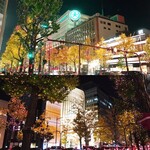 正宗屋 - 宿に戻る道中。御堂筋も綺麗じゃわあ。