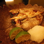 東條 - ぼうぜ（エボ鯛）一夜干し