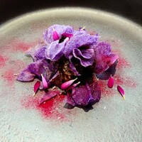 クイントカント - 