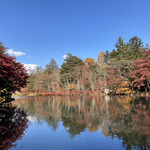 フランスベ－カリー - 