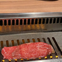 焼肉ホルモン 稲田 - 
