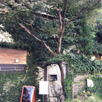 カフェ ミクニズ - カフェ　エントランス