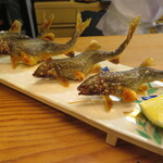 割烹 市川 - 焼き子持ち鮎