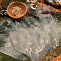 寅八商店 心斎橋店 -  寅八商店 心斎橋店 -