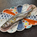 鮨松榮 - 本ししゃも 雄