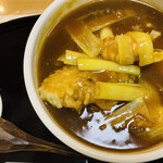 あおやま長寿庵 - 一回目のかきカレーそば