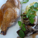 ビストロルポ - 