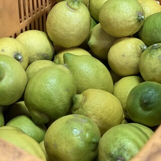 All-you-can-eat lemons delivered directly from contracted farmers! Great with Oyster and chuhai♪