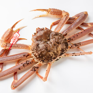 旬彩 こころび_0