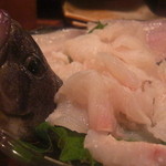 賀茂鶴 - あぶらめのお顔が凛々しいｗｗ