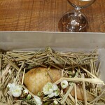 傳 - (2020年2月 訪問)