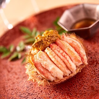 のとだらぼち_0