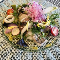 ペルゴーラ -  ペルゴーラ -