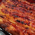 うなぎ 魚政 - 特上鰻重