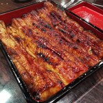 うなぎ 魚政 - 特上鰻重