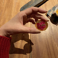 マキノンチ - 