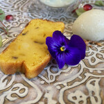 オステリア セーザモ - 