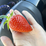 姫路ハートフル観光農園 - 