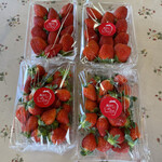 姫路ハートフル観光農園 - 