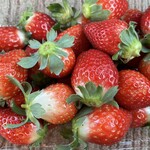 姫路ハートフル観光農園 - 