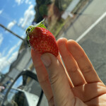 姫路ハートフル観光農園 - 