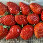 姫路ハートフル観光農園 - 