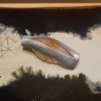 鮨 龍次郎 - 小肌