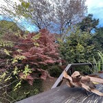 INO CINQ Cafe - 井の頭恩賜公園第2公園を望む