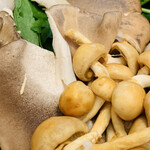 比良山荘 - ・キノコ各種3