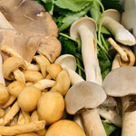 比良山荘 - ・キノコ各種5