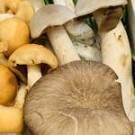 比良山荘 - ・キノコ各種4