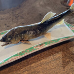 柳家 - 子持ち鮎の塩焼き