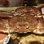 料理屋 植むら - この日の松葉ガニ(雄)