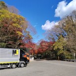 一休食堂 - 外の紅葉