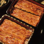 尾花 - 「うな重」（中と大の比較　手前が中です）