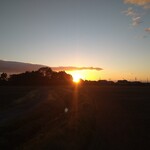 さかなどころ ともさき - 