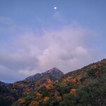 さかなどころ ともさき - 