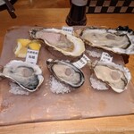 oyster&wine kitchen K - 