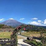 Kuimonoya Kotetsu - おまけの白糸自然公園からの富士とバラ