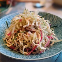 CINA New Modern Chinese - 