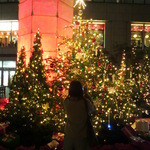 イデミスギノ - ライトタワープラザのX'masイルミ