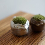 つむぐカフェ - 