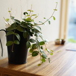 つむぐカフェ - 