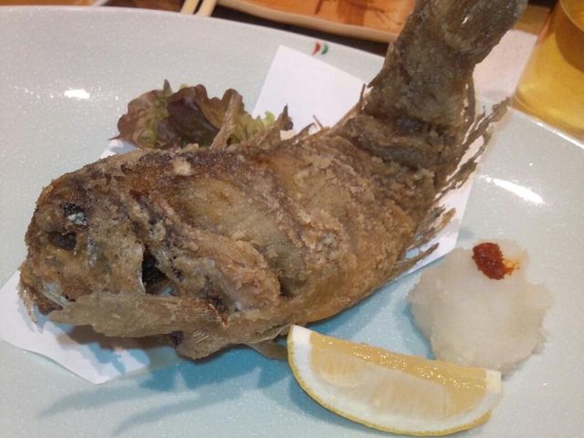 蓮華草 佐賀 居酒屋 食べログ