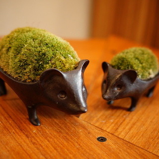 つむぐカフェ_2